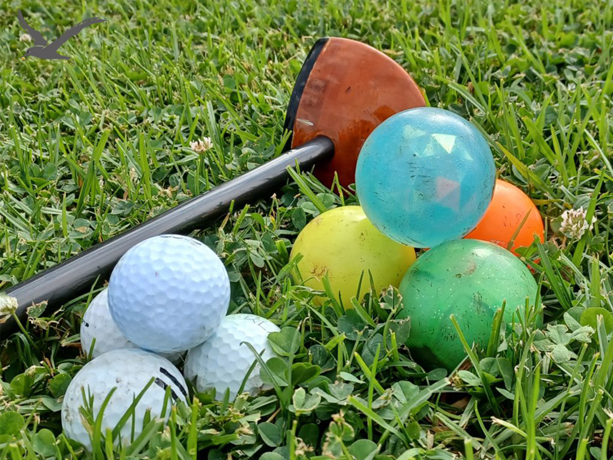 Pargi golfipallide mitmekesisus